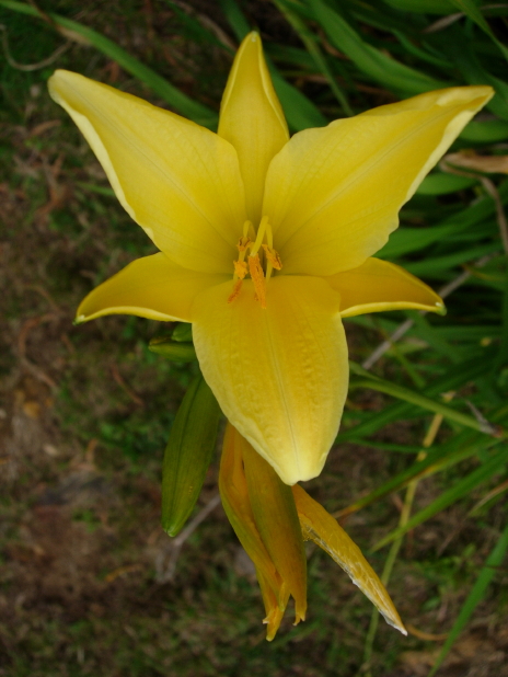 dscn8341.jpg