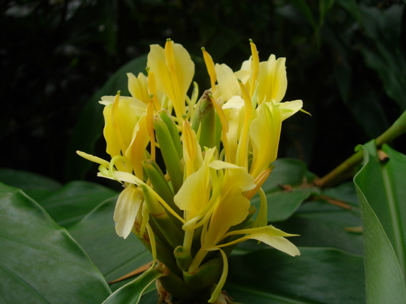 dscn8351.jpg