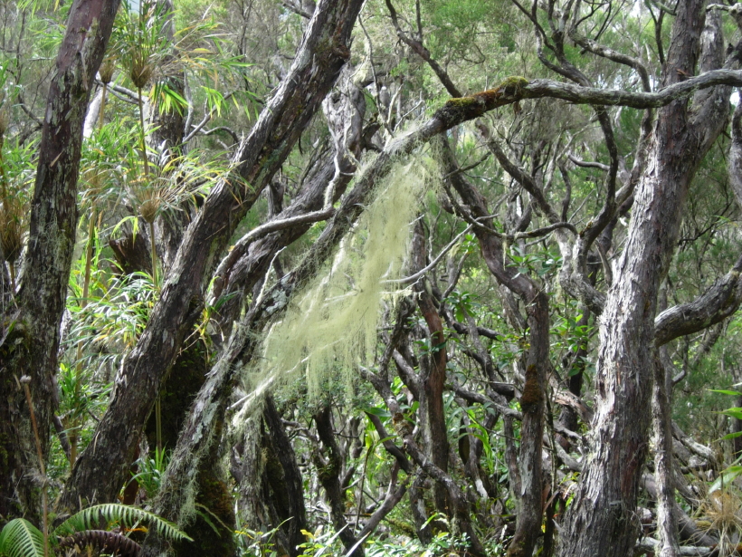 dscn8381.jpg
