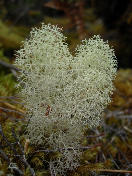 dscn8390.jpg