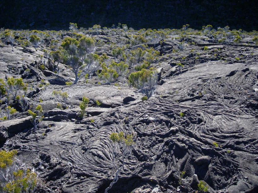 dscn8553.jpg