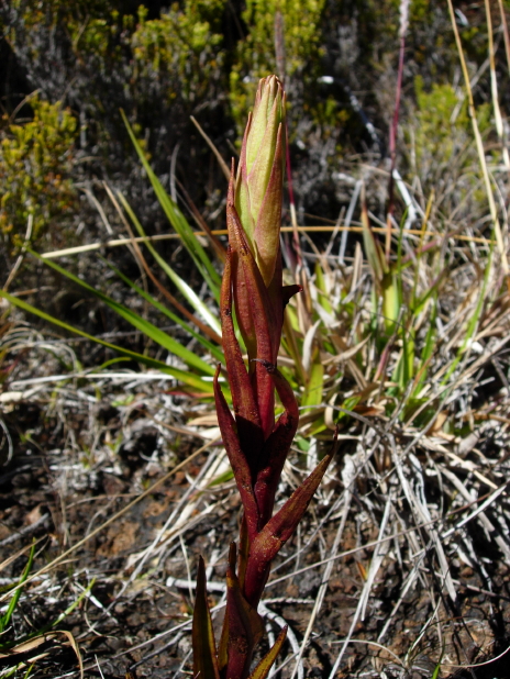 dscn8576.jpg