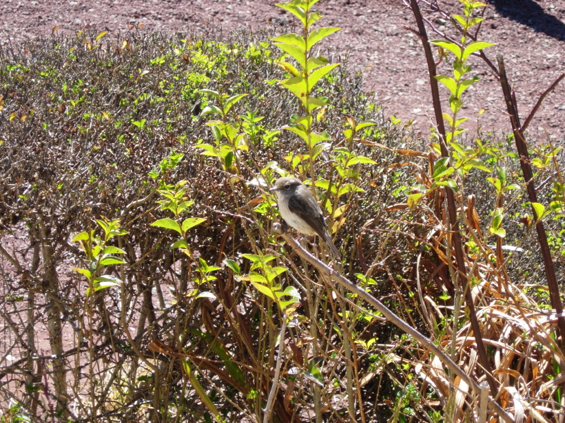 dscn8586.jpg