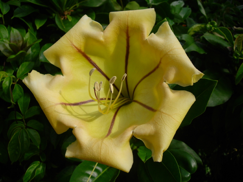 dscn8629.jpg