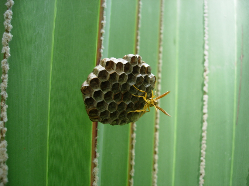 dscn8641.jpg