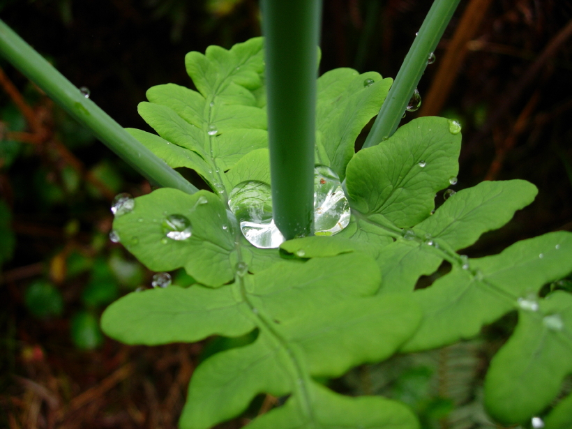 dscn8756.jpg