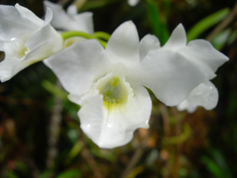 dscn8768.jpg