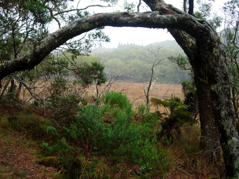 dscn8797.jpg
