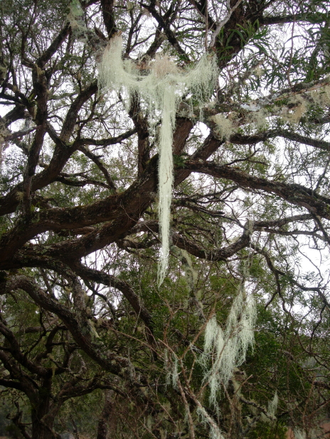 dscn8803.jpg