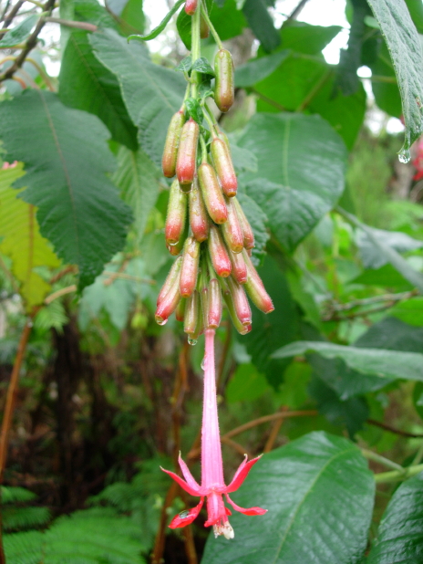 dscn8812.jpg
