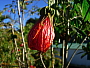 dscn8043.jpg