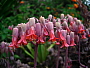 dscn8119.jpg