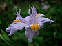 dscn8124.jpg