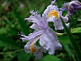 dscn8126.jpg