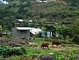 dscn8130.jpg