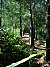 dscn8154.jpg