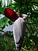 dscn8176.jpg