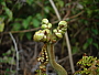 dscn8181.jpg