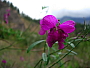 dscn8182.jpg