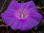 dscn8206.jpg