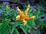 dscn8240.jpg