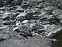 dscn8257.jpg