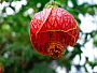 dscn8264.jpg