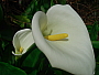 dscn8271.jpg