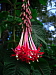 dscn8276.jpg