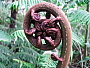 dscn8279.jpg