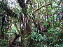 dscn8282.jpg