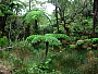 dscn8290.jpg