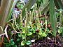dscn8303.jpg
