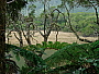 dscn8317.jpg