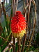 dscn8345.jpg