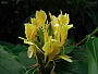 dscn8351.jpg