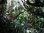 dscn8367.jpg
