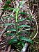 dscn8372.jpg