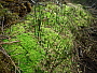 dscn8389.jpg