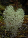 dscn8390.jpg