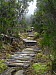 dscn8392.jpg