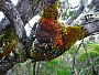 dscn8398.jpg