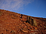 dscn8410.jpg