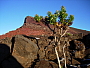 dscn8414.jpg