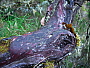 dscn8434.jpg