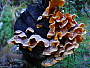 dscn8436.jpg