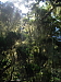 dscn8457.jpg
