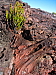 dscn8495.jpg
