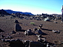 dscn8500.jpg