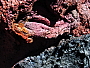 dscn8537.jpg